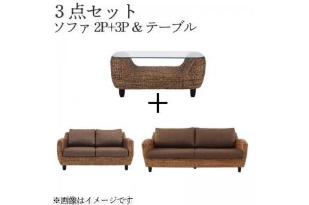 ウォーターヒヤシンスの魅力とスタイル